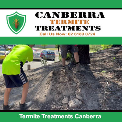 Termite treatment specialist treating soil in Canberra