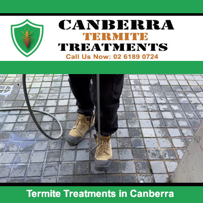 Performing termite treatment on outdoor area in Canberra